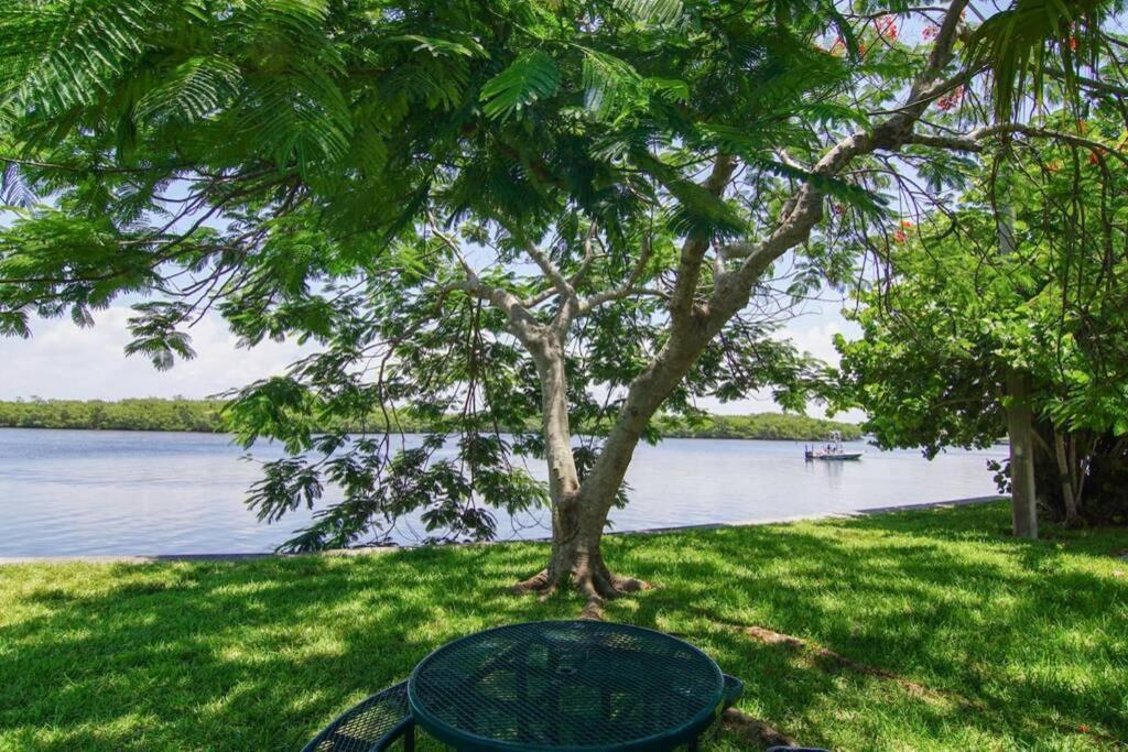 River Delight,Studio109, Beach & Pool Steps Away + Wifi Ruskin Exterior photo