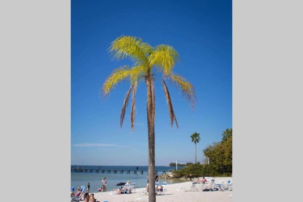 River Delight,Studio109, Beach & Pool Steps Away + Wifi Ruskin Exterior photo